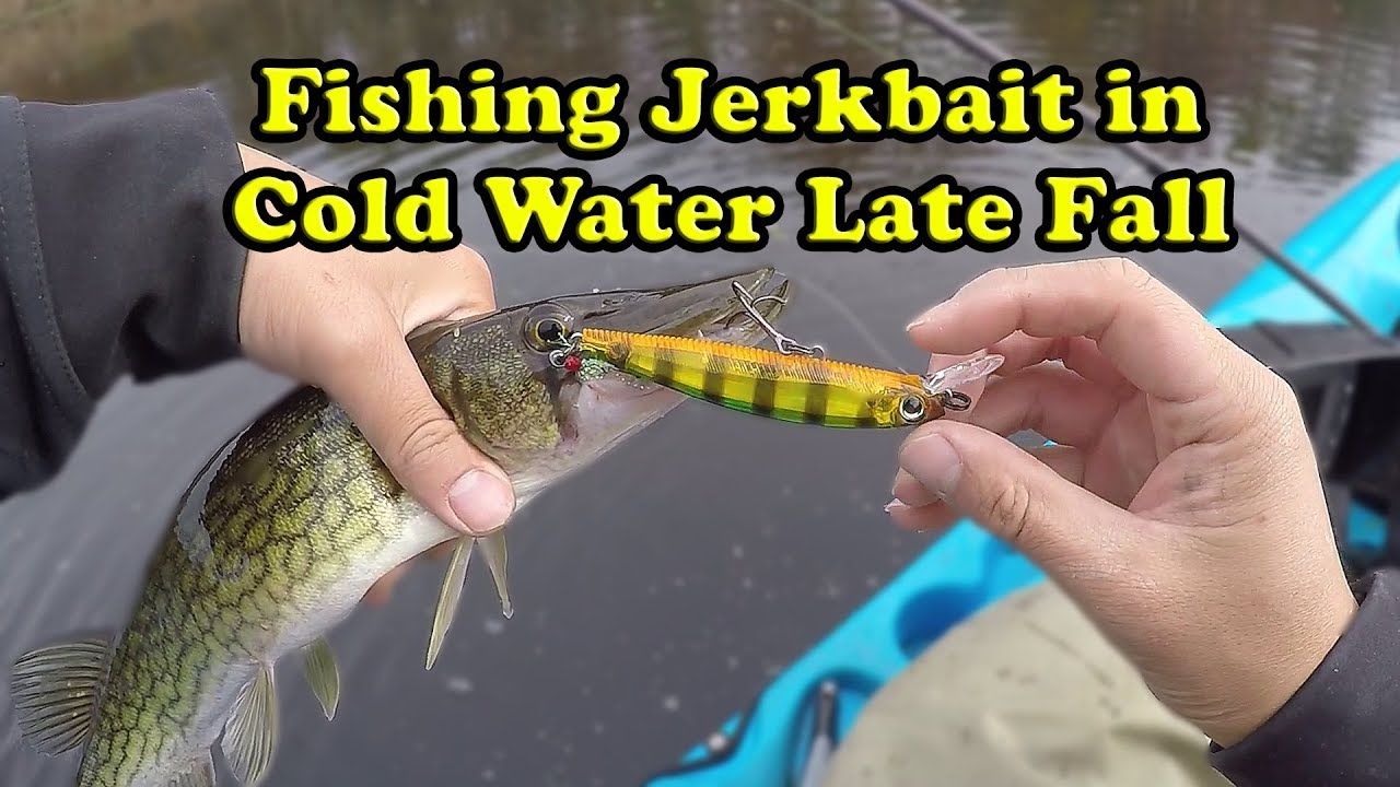 Jerkbait fishing for Pickerel (Rapala RipStop and Yo-Zuri 3DB Series  Jerkbait) 