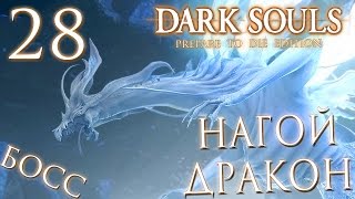 Прохождение Dark Souls Prepare To Die Edition — Часть 28: БОСС 19: НАГОЙ ДРАКОН СИТ