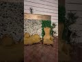 Stage decoration#foryou #wedding #stage #ytshorts #ytshorts #ytshorts #