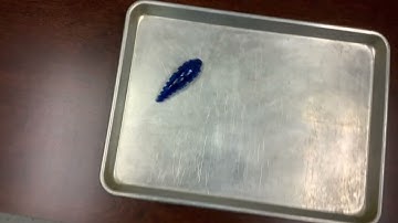 HEXBUG Larva Demo V2 (No Commentary)