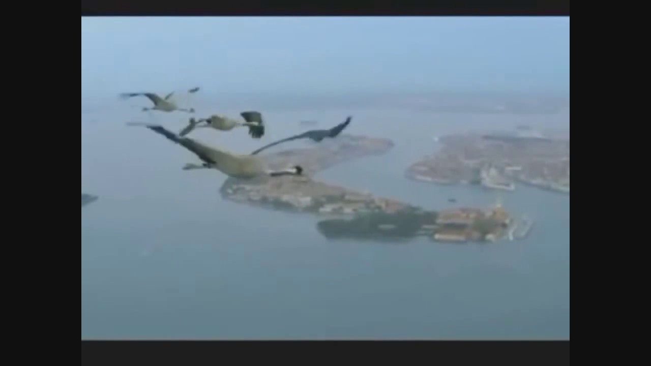 Сплин Дочь самурая - YouTube