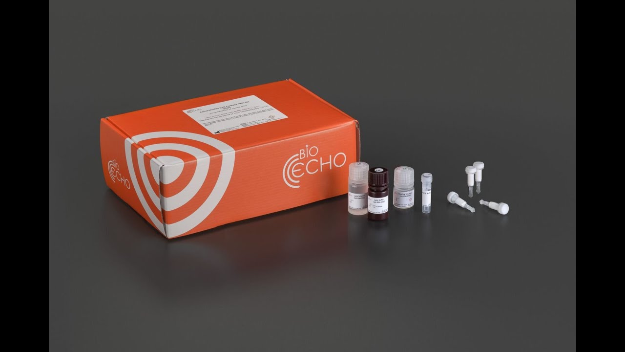 How to use BioEcho Cell Culture RNA Kit - YouTube