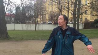 Tongbei Kung Fu Palm Strike - Pai Zhang  通背拳拍掌