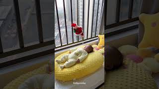 Best Baby Product Must-Have for New Parents  #shorts