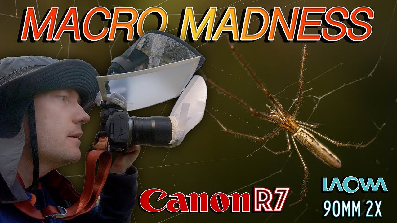 macro-photography-in-the-aussie-bush-canon-r7-laowa-90mm-2x-ultra