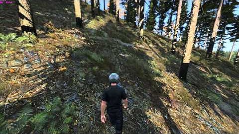 DayZ SA Graphical glitches