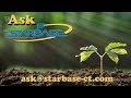 Ask STARBASE Episode 097: How does Photosynthesis work?