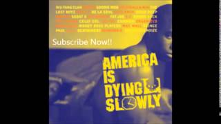 V.A. (PETE ROCK & THE LOST BOYZ,O.C.& BUCKWILD) / AMERICA IS