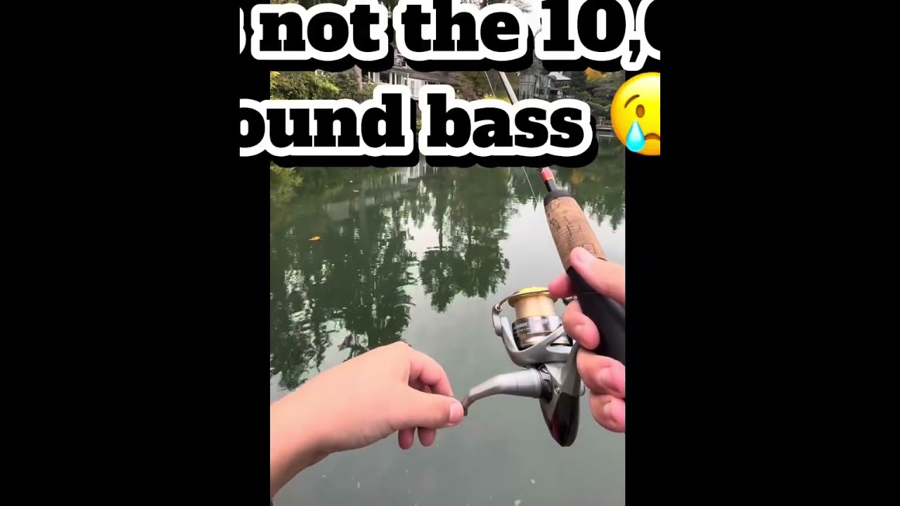 Fishing for bass In Oregon!!! #bassfishing #fishing #oregon