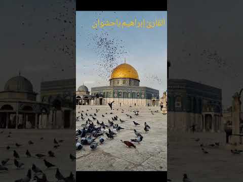 محمد رسول الله بصوت خاشع للقارئ إبراهيم باحشوان 