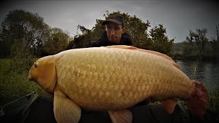 Pêche à la carpe 2015 - Session rivière -  Big Carpe Koi 14 +