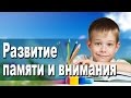 Курс &#39;Развитие памяти и внимания&#39;  в школе Дениса Васильева (повышаем успеваемость в старшей школе)