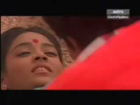 Tamil Movie Song   Athai Maga Rathiname   Alli Alli Veesuthamma