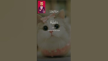 آيات من الذكر الحكيم...❤️❤️
