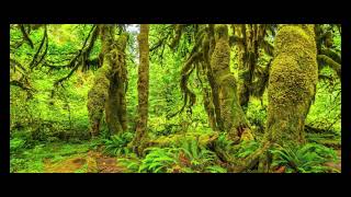 The Matrix is Collapsing and Will Violate it's Own Laws of  Physics and Poison the Air in Forks