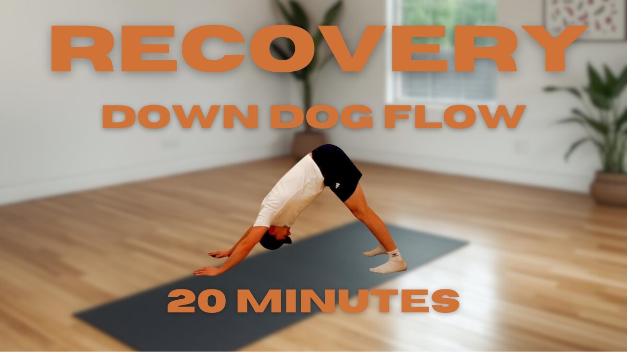 Recovery: Down Dog Flow - 20 Minutes