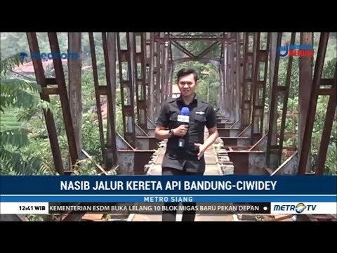 DAMRI Trans Metro Bandung Leuwipanjang Cicaheum  Doovi