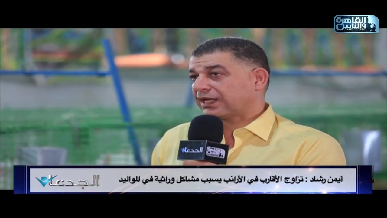 أيمن رشاد بالتفاصيل ما الدي تحتاجه بدأ مشروع تربية الأرانب عالية الجودة