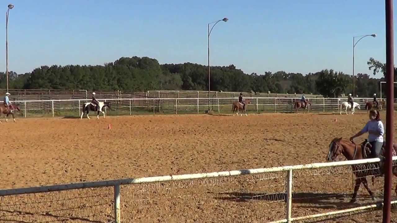 A Dauphin Horsemanship Clinic Sample