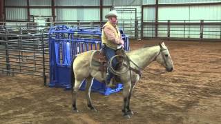 Ron Gill - BQA - Effective Stockmanship