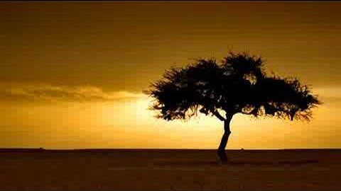 Yasir Qadhi -- The Mahdi Between Fact and Fiction 18/24