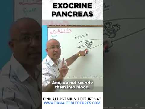 Any Explanation Druutlectures Drnajeeb DreamScreenAI