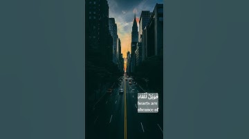 سوره الزمر الايه (22) للقارئ الشيخ / حسن صالح#قران_كريم #حسن_صالح #سورة_الزمر