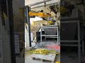 Depalletizing automation：better for your workers，better for your output.  #unpacking#robots