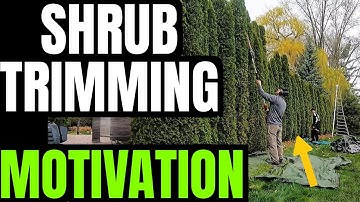 Life & Business Motivation Keith Kalfas - Shrub Trimming Start To Finish
