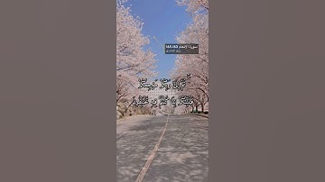 سورة الأنعام الآيه 163-اخر السورة