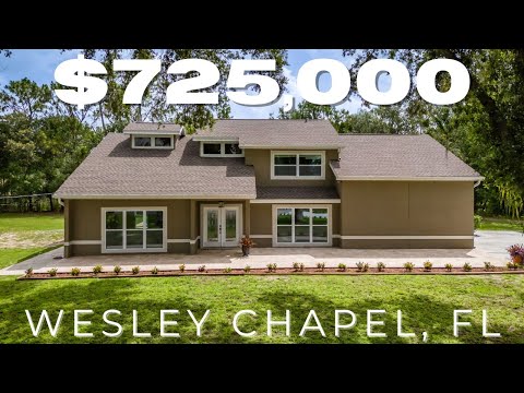 4044 Red Fox Ct, Wesley Chapel, FL home video tour