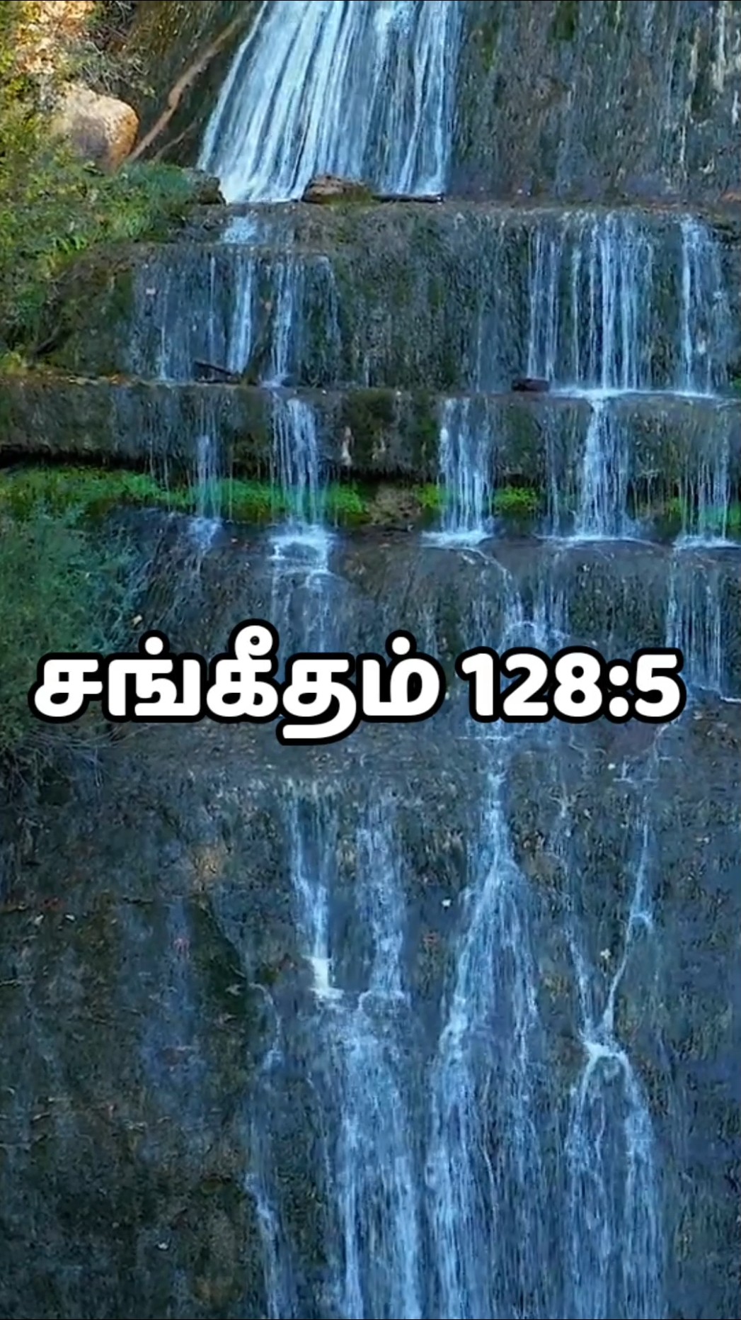 ✝ இயேசு வருகை ✝ - ShareChat