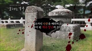 오래된 약속 77편 생명의 끈을 묻다 성주 세종대왕자 태실