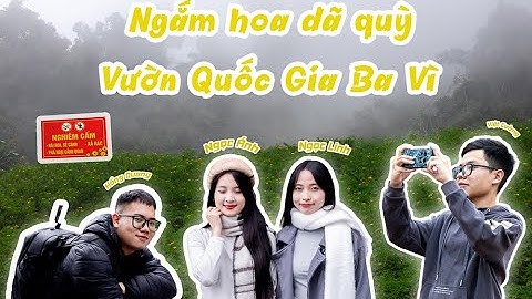 HOA DÃ QUỲ 2025 - VƯỜN QUỐC GIA BA VÌ | cùng Quang Lang Thang