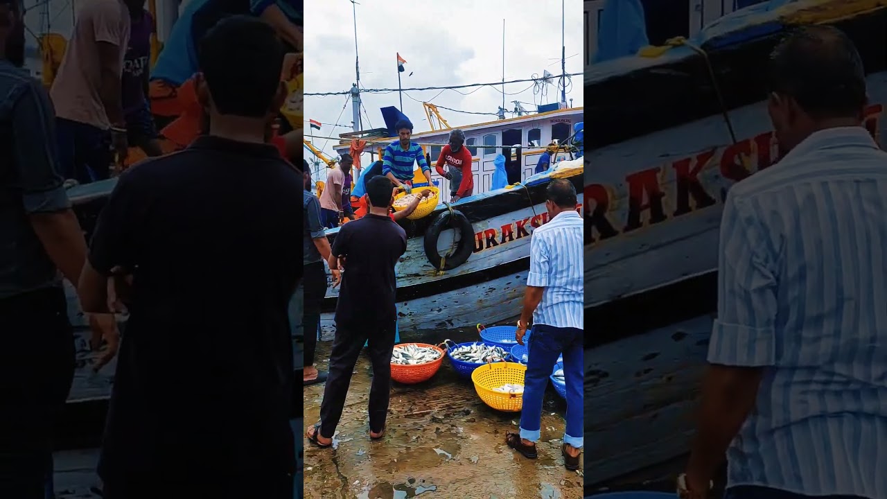 Mangalore Fish Market: BIGGEST in Dakke Area - Must See!