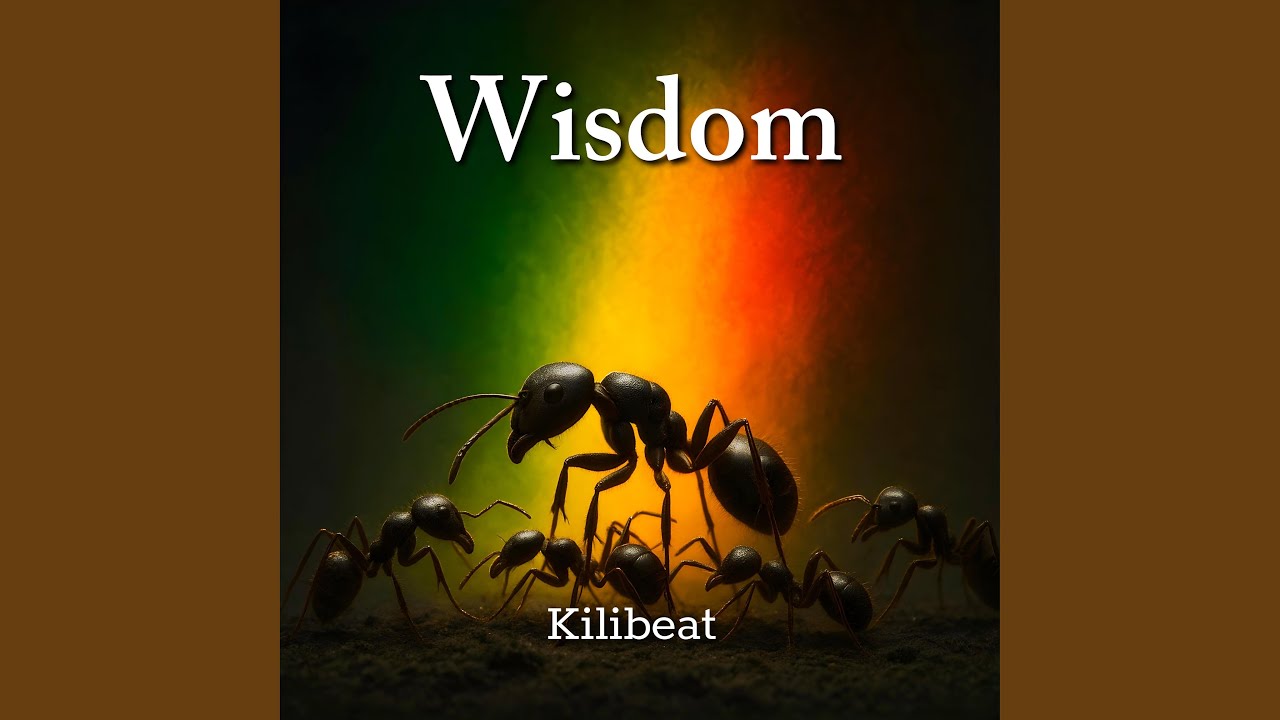 Watch Seek True Wisdom on YouTube Watch Seek True Wisdom on YouTube
