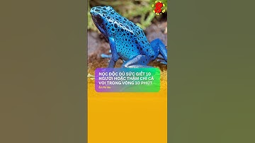 TOP 10 Loài Động Vật Có Nọc Độc Đáng Sợ Nhất Thế Giới #shorts