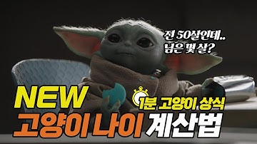 새로운 고양이 나이 계산법 | new cat age calculator | 냥이생각