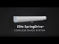 Elite SpringDrive - Illustrated