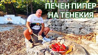 видео: ПЕЧЕН ПИПЕР НА ТЕНЕКИЯ ЗА ЗИМАТА! АРОМАТ НА СЛАДОСТ, ЕСЕН И МАЛКО ПУШЕК ОТ ОГЪНЯ! НАСЛАДА ЗА ДУШАТА! картинка: ПЕЧЕН ПИПЕР НА ТЕНЕКИЯ ЗА ЗИМАТА! АРОМАТ НА СЛАДОСТ, ЕСЕН И МАЛКО ПУШЕК ОТ ОГЪНЯ! НАСЛАДА ЗА ДУШАТА!