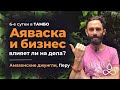 Аяваска опыт. Возможен ли Бизнес после опыта Аяваски?