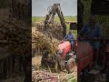 🤯 अब गन्ना उठाएगी मशीन, इंसान नहीं! #shortsfeed #jugaadverse #viralvideo #viral #farmingtechnology
