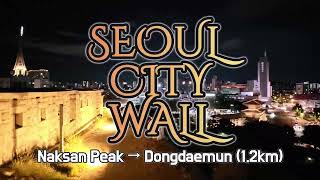 [4K] Seoul Night Walk |  Naksan Mountain Peak to Dongdaemun