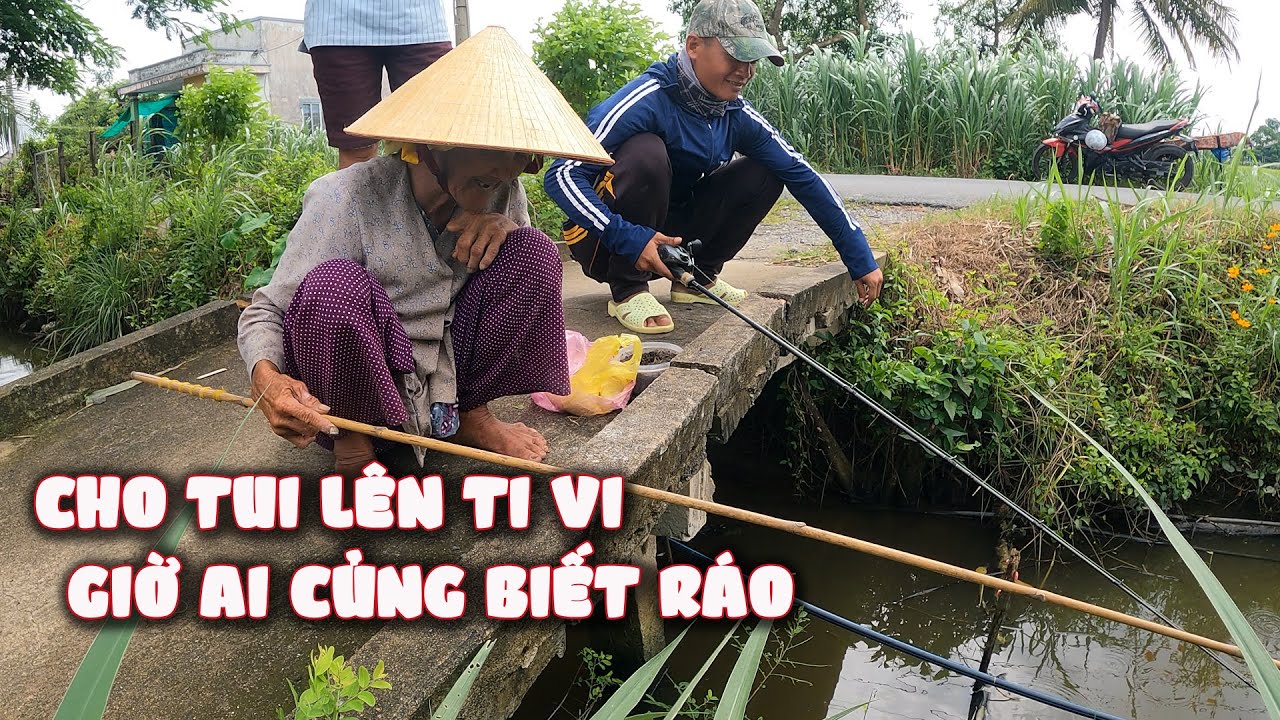 Cả xóm đòi xem ngoại trên ti vi, ngoại cự quá cự | Câu cá cùng ngoại vui lắm #thuytrieuxoay 365