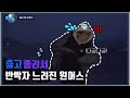 [원어스/oneus] 춥고 졸려서 반박자 느려진 원어스들 (feat. 수학여행 느낌)