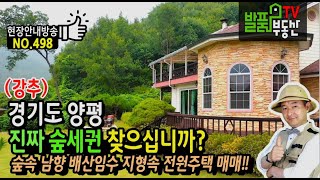 (강추) 진짜 숲세권 찾으십니까? 경기도 양평 전원주택 매매 숲속 남향의 배산임수 지형의 명당터에 이쁜 정원 매물 양평부동산  발품부동산TV