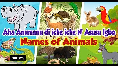 Learn Igbo Animal names | Igbo cartoon for kids | Animals and sounds