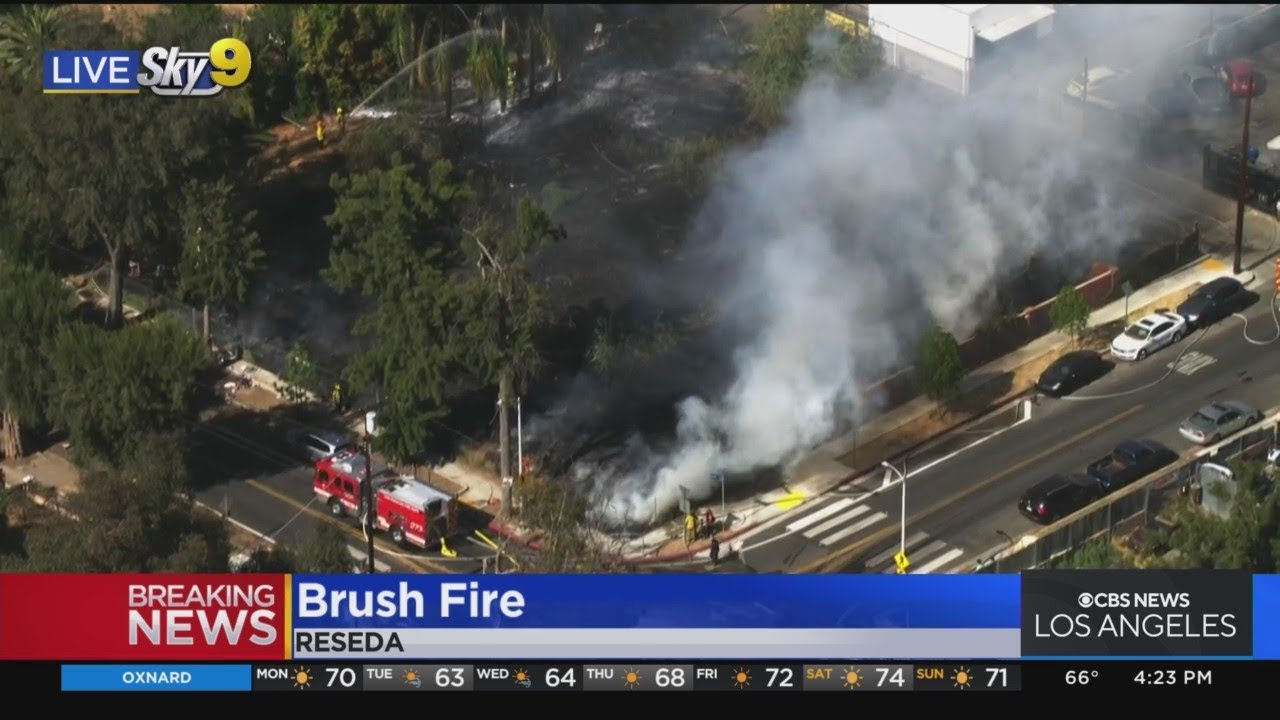 LAFD fight small brush fire in Reseda - YouTube