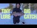 Ice Fishing for BIG Trout &amp; Salmon with Beginner Friendly Lures