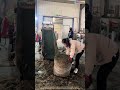 Récolte du foin : l'heure du repas à la ferme